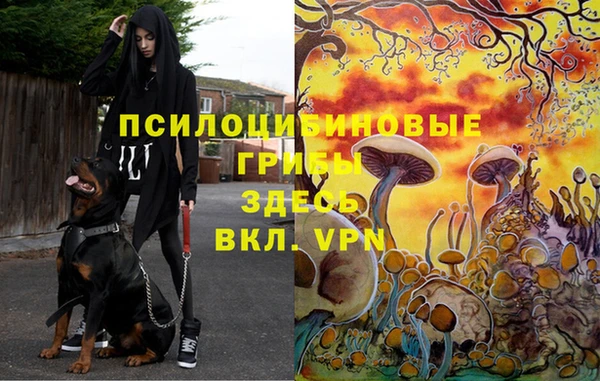 мет Кинешма