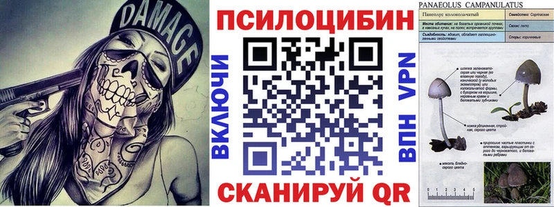 Псилоцибиновые грибы мухоморы  Кочубеевское 