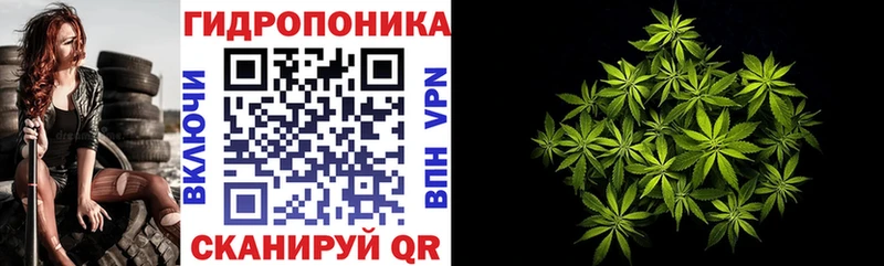 где найти наркотики  Кочубеевское  МАРИХУАНА конопля 